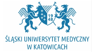 Naukowczynie z SUM współautorkami raportu o przemocy seksualnej